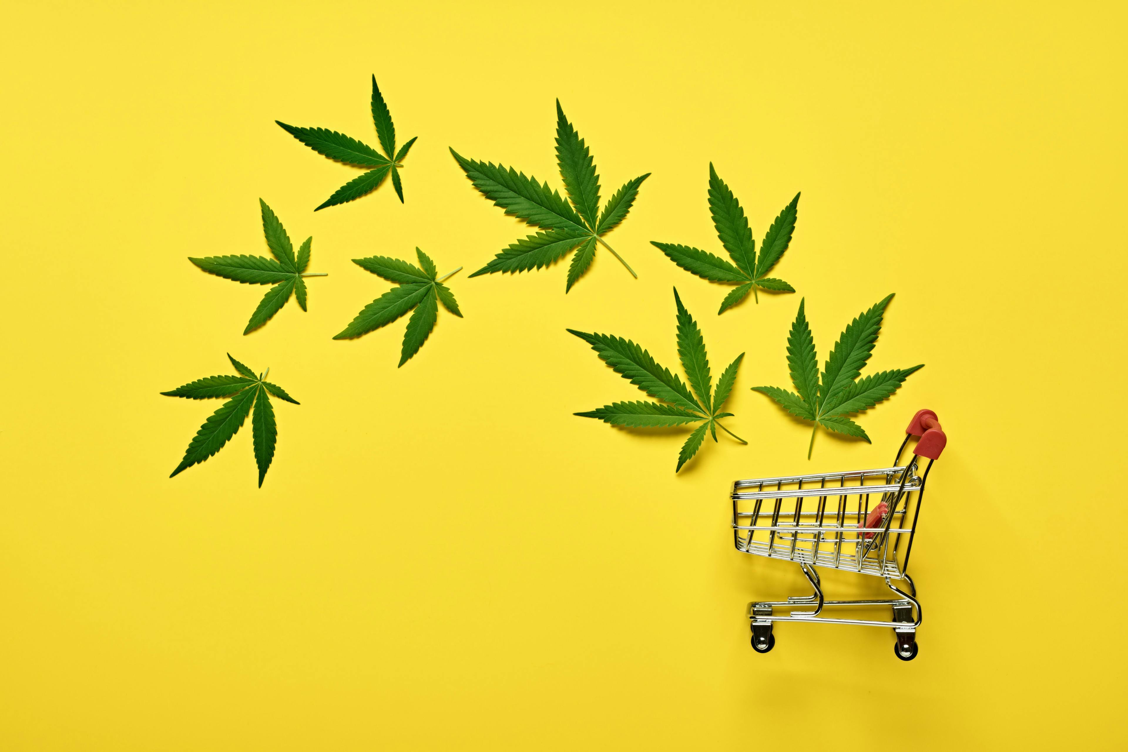 Cannabis flies into a shopping cart.