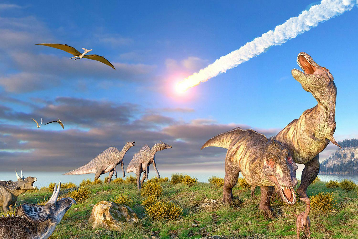 Dinosaurs watching an asteroid